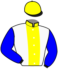 Casaque du n°3 — GRECO BELLO