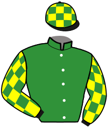 Casaque du n°2 — FALCO DU HAMEL