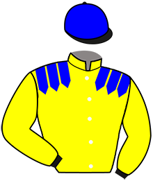 Casaque du n°2 — KELANI