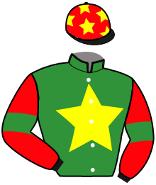 Casaque du n°4 — JIVARO D'HERMINE