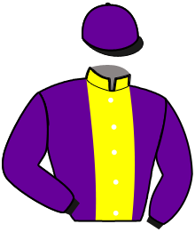 Casaque du n°6 — NOBLE RUSH FLEVO
