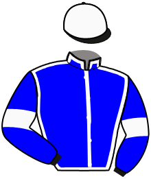 Casaque du n°1 — RICARDO DI QUATTRO