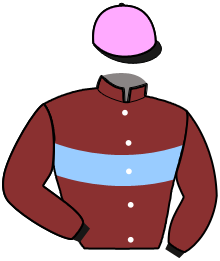 Casaque du n°14 — LE BOLIDE