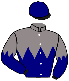 Casaque du n°4 — GARD