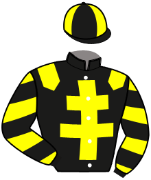 Casaque du n°3 — LOVHELEN D'OR