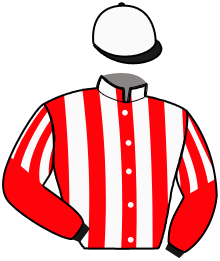 Casaque du n°12 — DIABEL