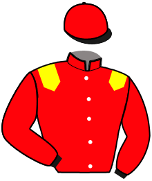 Casaque du n°8 — KARNAC WOOD