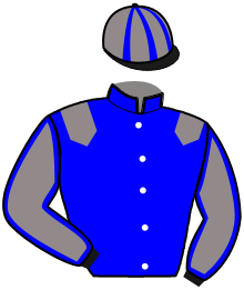 Casaque du n°1 — MADISON PLANCHETTE