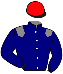 Casaque du n°1 — KEL COPAIN