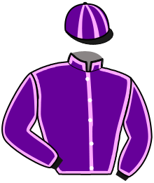 Casaque du n°11 — KALLISTO DE LASTEL