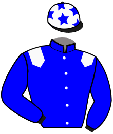 Casaque du n°7 — KORIOLIS DE ZIETTE