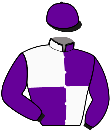 Casaque du n°4 — NOBILIARY STAR