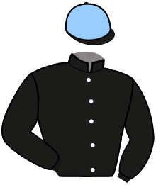 Casaque du n°3 — NIGER DU VIVIER