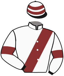 Casaque du n°1 — MAJOR JENILOU