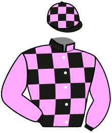 Casaque du n°2 — MILORD DES CHARMES