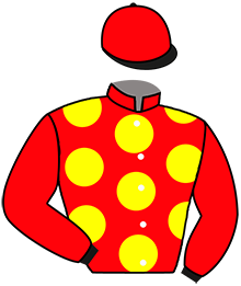 Casaque du n°12 — JUP AND STAR