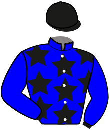 Casaque du n°6 — JUAN PERRINE