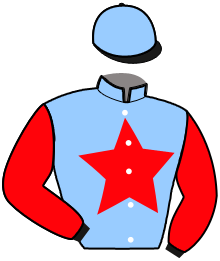 Casaque du n°3 — NESMILLE ELEVEN