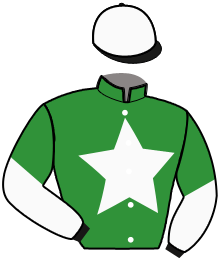 Casaque du n°10 — JUNINHO SPORT
