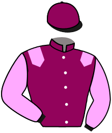 Casaque du n°1 — SELENIEN