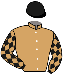 Casaque du n°1 — TOUQUETOISE