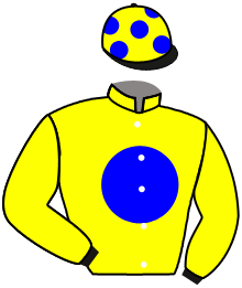 Casaque du n°9 — THE MAGIC MAN