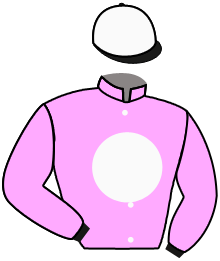 Casaque du n°2 — SAN SEBASTIAN