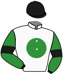 Casaque du n°5 — GEORGES VILLE