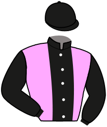Casaque du n°1 — FINEPAL FAL