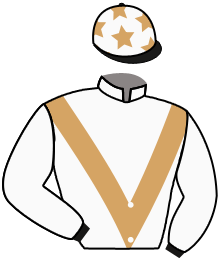 Casaque du n°3 — MARIONOR