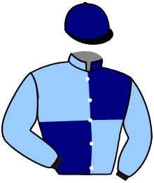 Casaque du n°7 — LEGENDE GREY