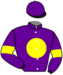 Casaque du n°2 — LEGENDE DE CHENEAU