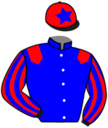 Casaque du n°1 — MARQUIS DE BREON