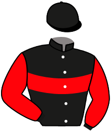 Casaque du n°4 — BARROSA
