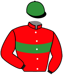 Casaque du n°1 — GEMINI D'AX