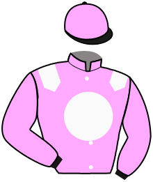 Casaque du n°4 — GEMILL