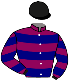 Casaque du n°10 — DASHKA