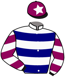Casaque du n°11 — JOXANA