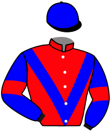 Casaque du n°4 — NAIROBI DELABRUNIE