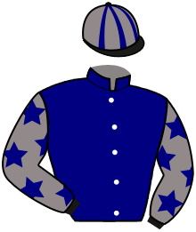 Casaque du n°10 — MAC LAREN CHENOU