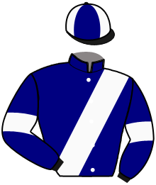Casaque du n°4 — MISTRAL DE RATILLY