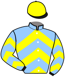 Casaque du n°2 — FIGARO DE BUSSET