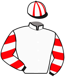 Casaque du n°4 — KEATANA DU METZ