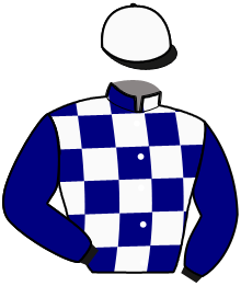 Casaque du n°1 — LOMBARDO DE LOU
