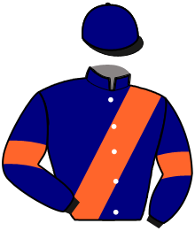 Casaque du n°4 — LOGO DE BERTRANGE