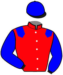 Casaque du n°6 — MINISSIA