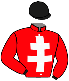 Casaque du n°12 — IMEA DE LA POTEL