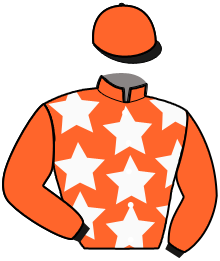 Casaque du n°13 — IBELLO DU BOCAGE