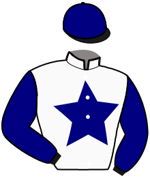 Casaque du n°6 — ICAM