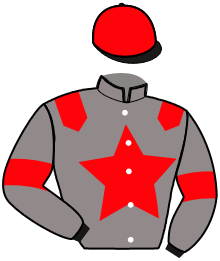 Casaque du n°8 — IDEAL DU MAXFRAN
